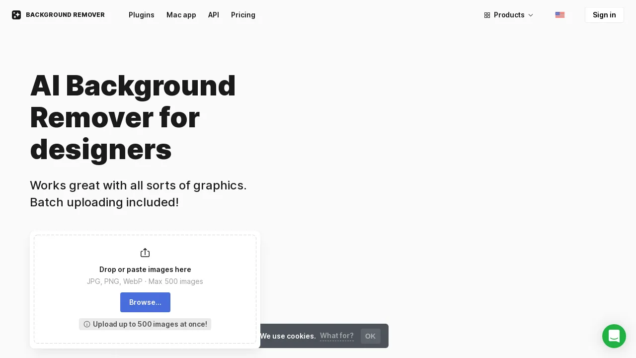 Icons8 Background Remover BestofAI